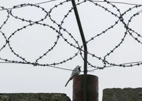 Экс-адвокату Фейгину* вынесли наказание за фейки о ВС РФ