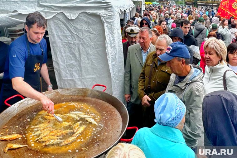 Курганцы выстроились в очередь за сырком на гастрофестивале. Фото, видео