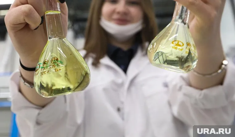 Настой испытывали на мышах (архивное фото)