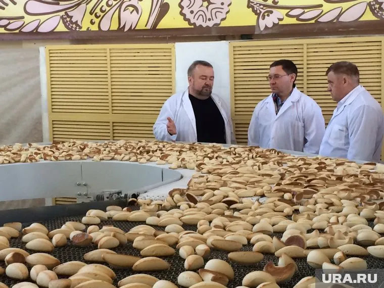 Губернатор Владимир Якушев вспомнил вкус детства на фабрике пряников