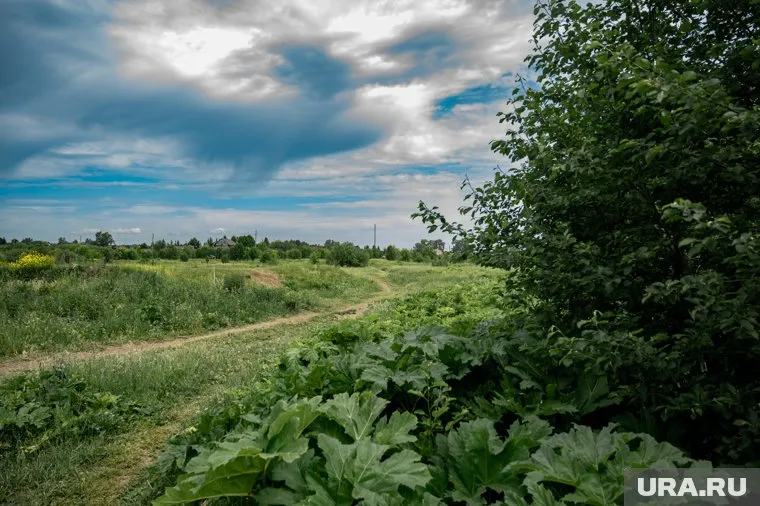 Сильные осадки на ближайшие дни не спрогнозированы