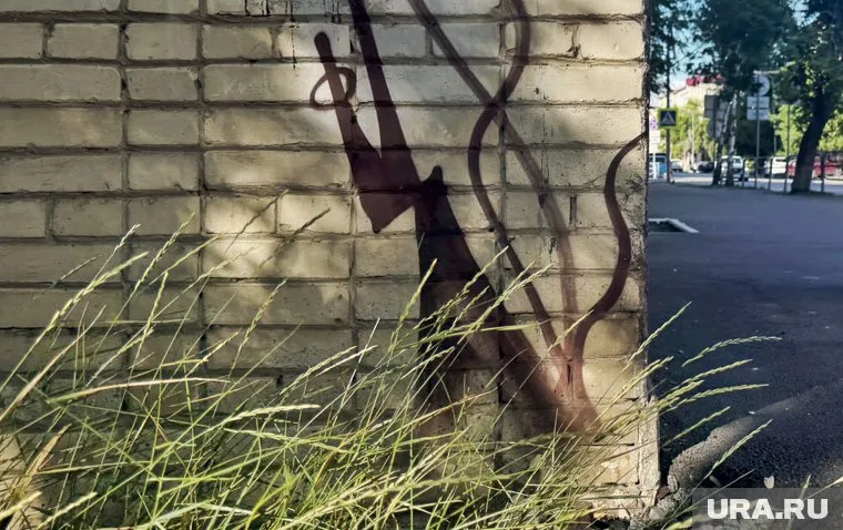 Власти Кургана пытаются найти местного уличного художника