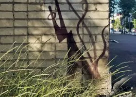 Фотография из галереи