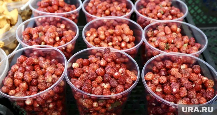 Сезон земляники начался на несколько недель раньше