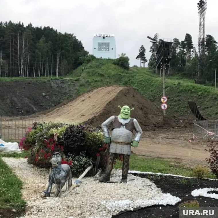 Тела девушек на склоне горы нашли грибники