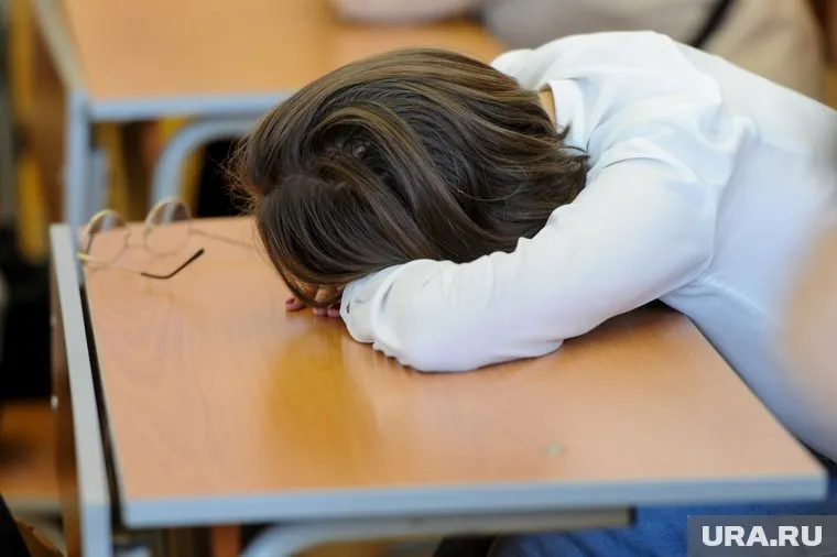 Снижение проходного балла ЕГЭ для поступления в вузы сказывается на качестве приема