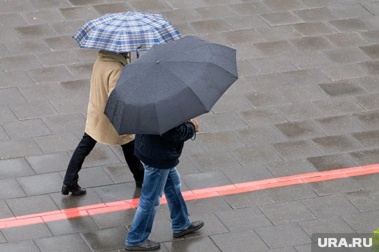 Дожди 4 августа будут на востоке и северо-востоке Свердловской области, заявил Алексей Пулин