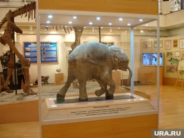 Люба уже много лет гастролирует по музеям мира