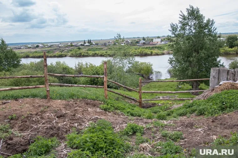 Рост продаж весной составил 300%