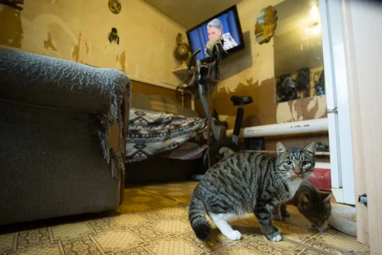  Балочные поселки Взлетный и Черный Мыс. Сургут