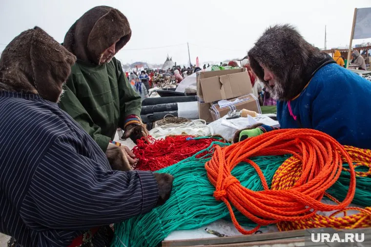 Оленеводов-передовиков наградили почетными званиями и знаком отличия (Архивное фото)