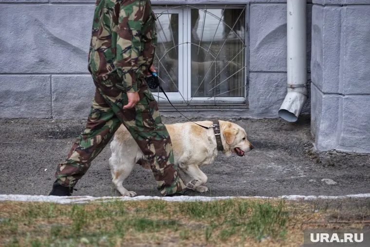 В Ноябрьске здание Сбербанка оцепили из-за сообщения о минировании