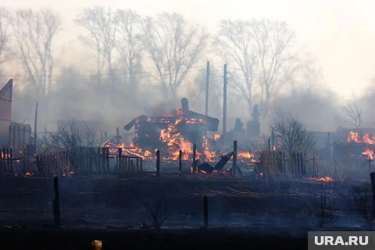 Курганскую чиновницу судят из-за пожара в Логоушке