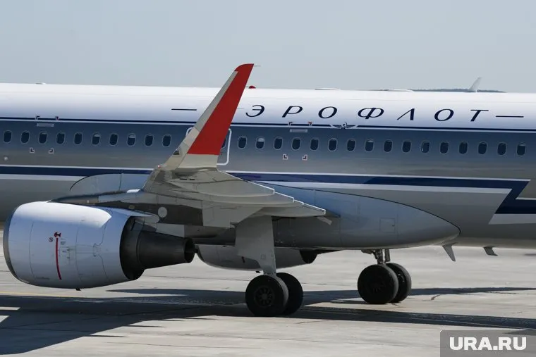 В авиакомпании «Аэрофлот» отстранили шесть пилотов