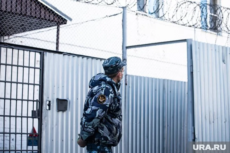 Нарушителю назначили шесть месяцев в колонии общего режима