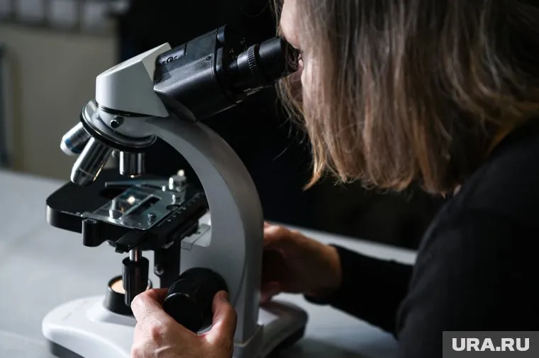 Главным объектом исследования стал редкий вид летучих мышей