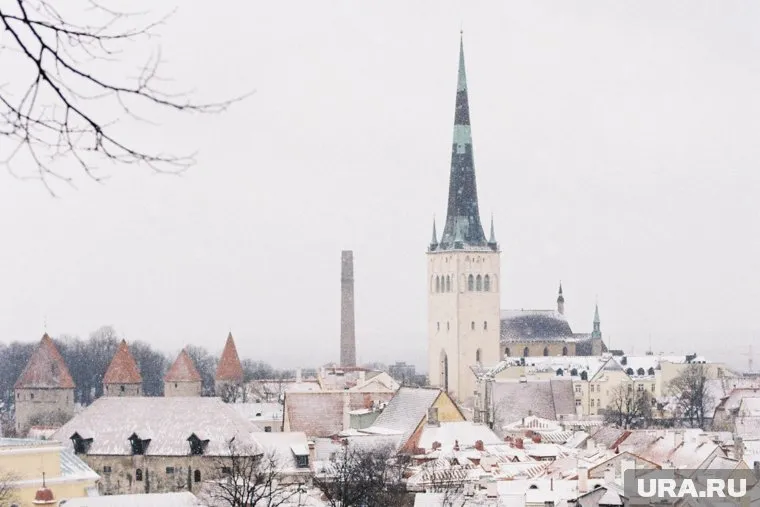 В Таллине считают, что риски от ввода западных войск на Украину перевешивают преимущества