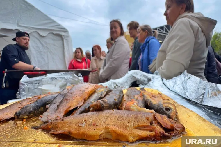 В Кургане 23 августа пройдет гастрономический фестиваль «День сырка»