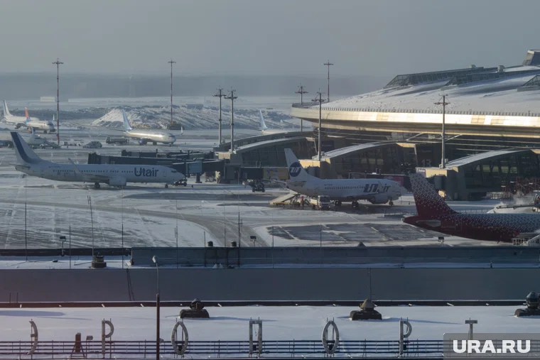 Сабурова задержали во Внуково и выдали документ с запретом на въезд в РФ
