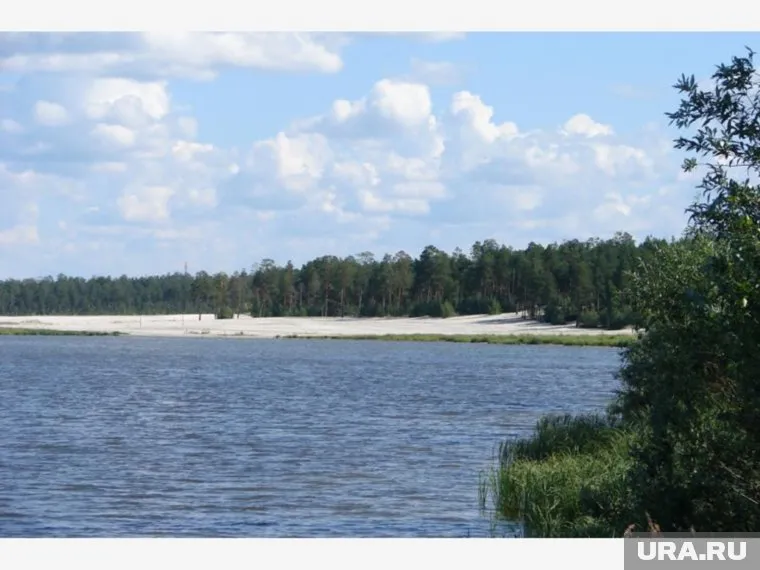 Ученые придумали, как реанимировать городской водоем
