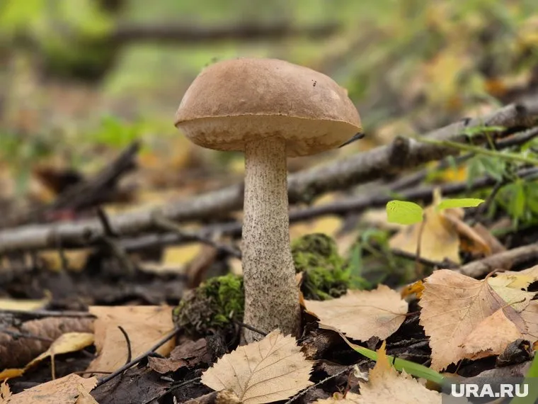 Памятник выполнен в бронзе