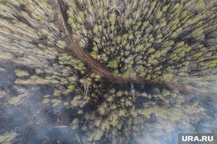 В тушении пожара принимают участие и пожарные, и добровольцы