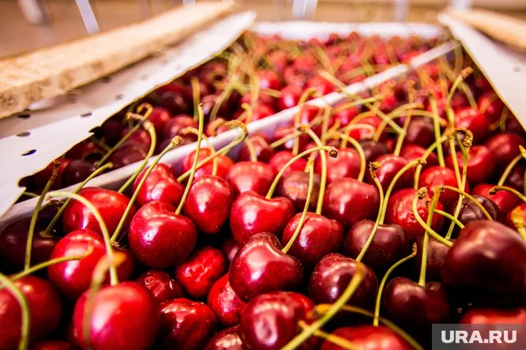 Партию не пустили на территорию страны из-за неверного пунта пропуска