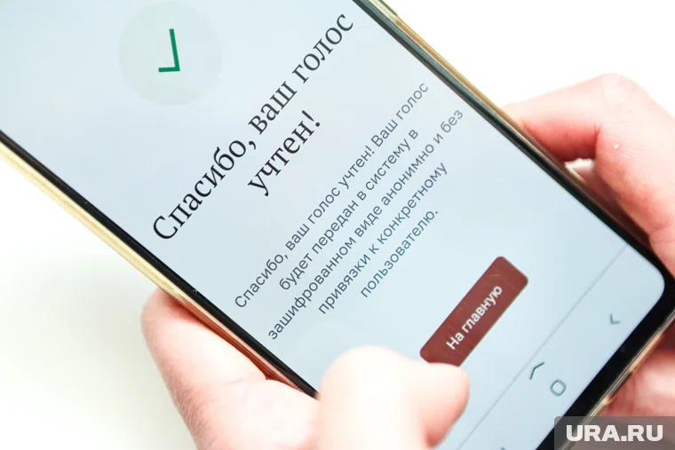 Проголосовать можно будет как со стационарного компьютера, так и с телефона