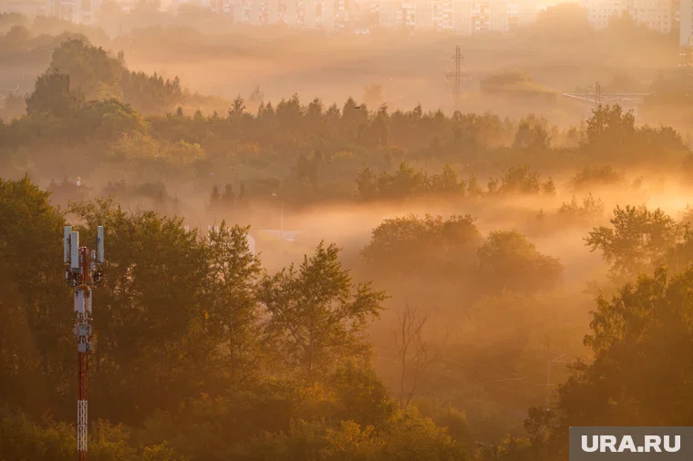 ВС РФ вошли в Покровск под туманом