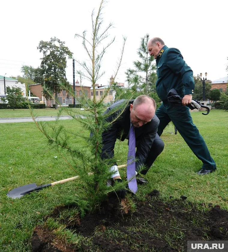 Губернатор Борис Дубровский (на переднем плане), как и сын, не чурался сажать деревья