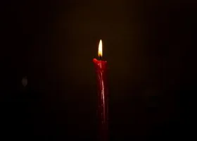 Фотография из галереи