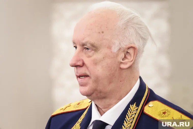 Следствие доложит Бастрыкину о проверке услуг электроснабжения в Сосновском районе