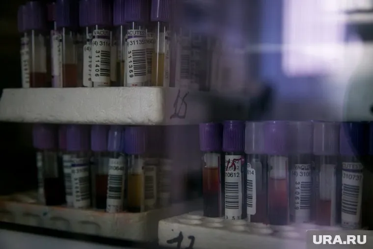 Общее число подтвержденных случаев на Ямале выросло до 95