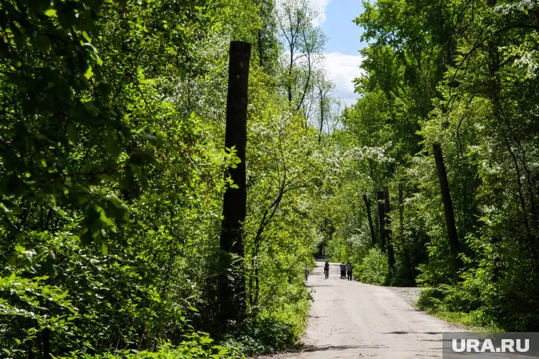 Врачи забрали школьников с территории парка