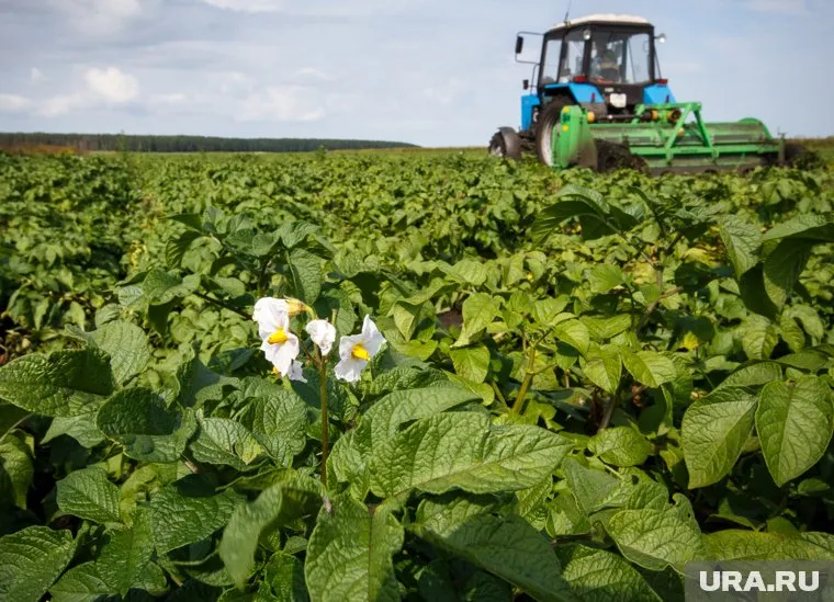 В уборочной кампании задействовано более 1700 единиц техники