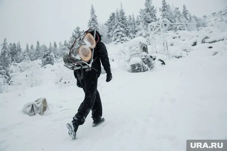 На хранение дров необходимы документы, решили в Верховной раде 