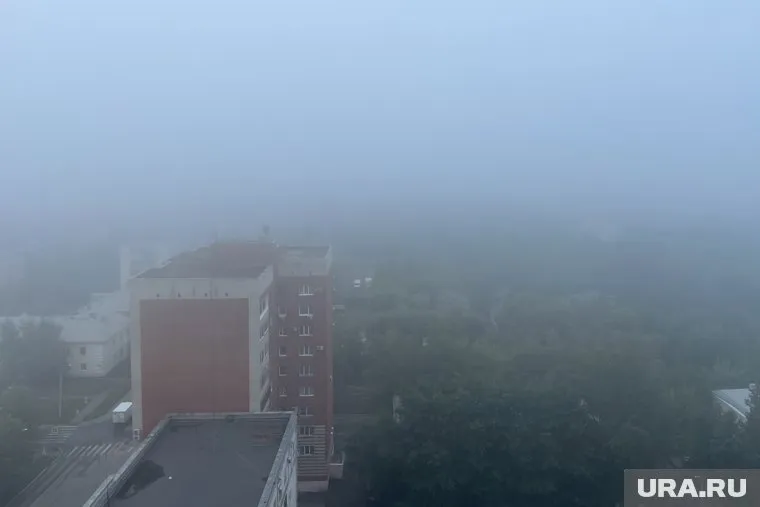 Видимость из окон домов не более 150 метров