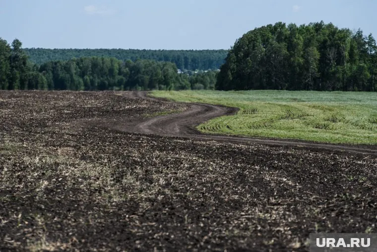 Площадь неплодородных земель в мире достигла 15 миллионов квадратных километров