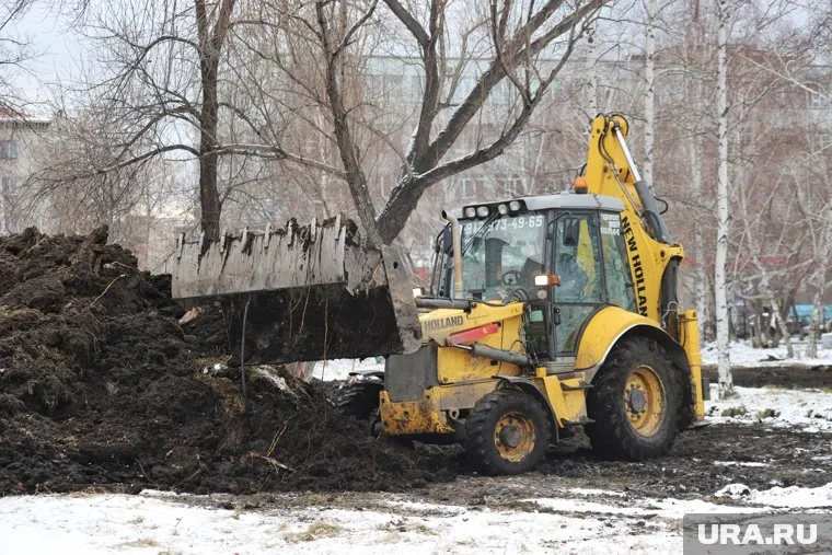 Подрядчику нужно вырубить 23 дерева