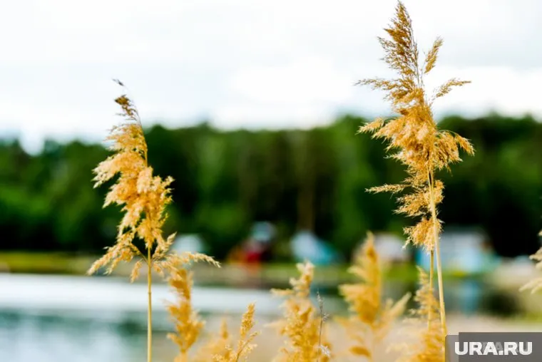 Трагедия произошла на Изоплите, мужчина был пьян