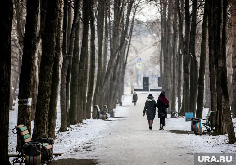 В парке «Уралмаш» также уберут аварийные деревья