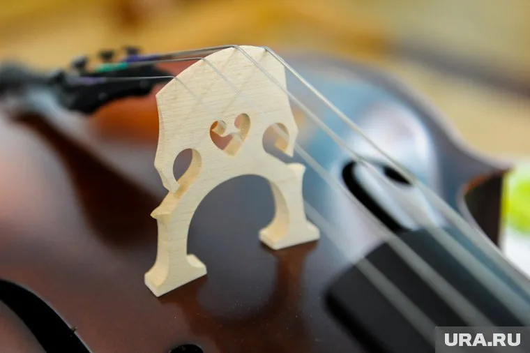 На Ямале отметили заслуги работников культуры