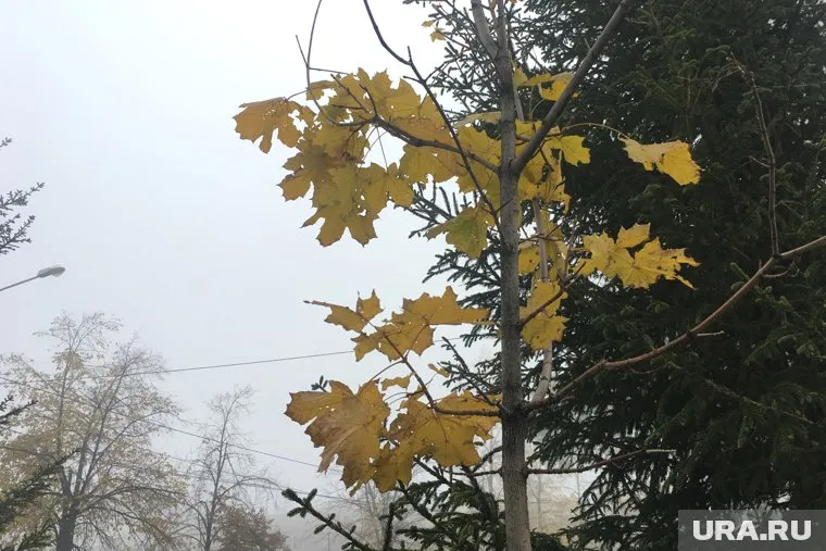 Похолодание на Южном Урале продлится несколько дней