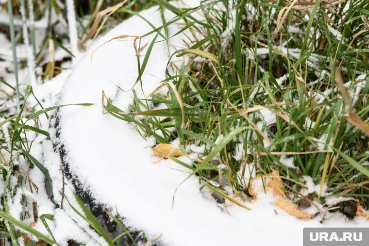 Явление заметили жители поселка Северный Коммунар