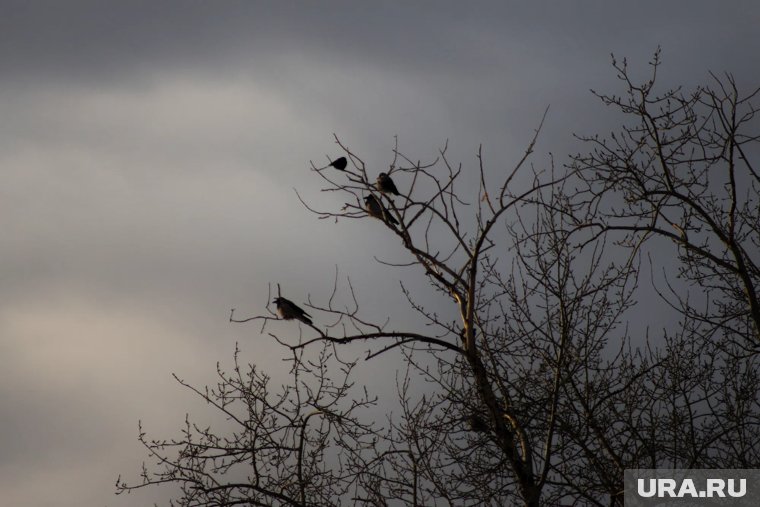 Народные приметы на 9 ноября: как не навлечь беду на Параскеву
