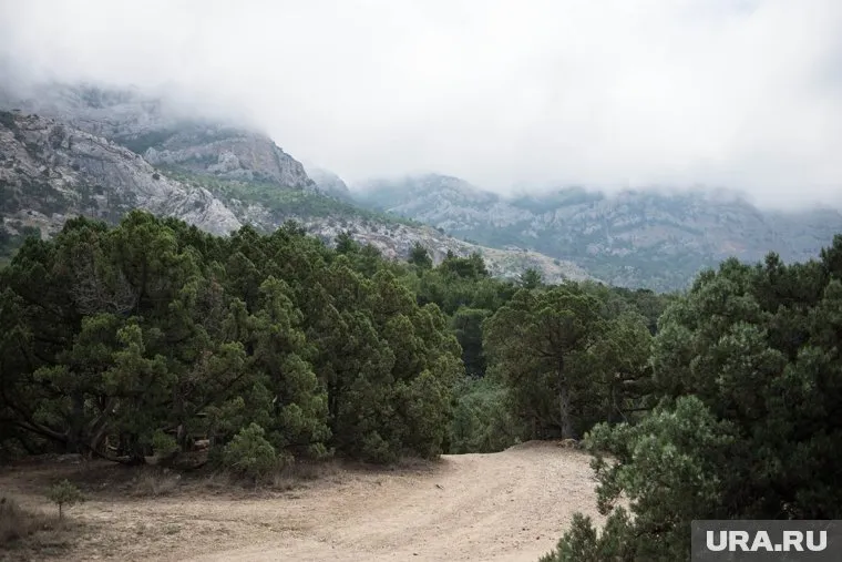 Жизнь на полуострове вполне устраивает крымских татар