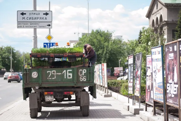Благоустройство Екатеринбурга, ургу, улица ленина, центр города, высадка цветов, улица мамина сибиряка