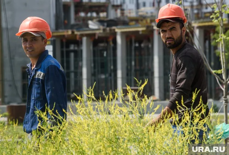 Статистика показывает, что у нас есть огромный резерв, который не используется