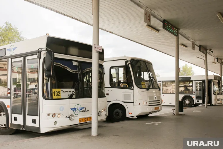 Уже до конца года перевозчики планируют купить 119 автобусов