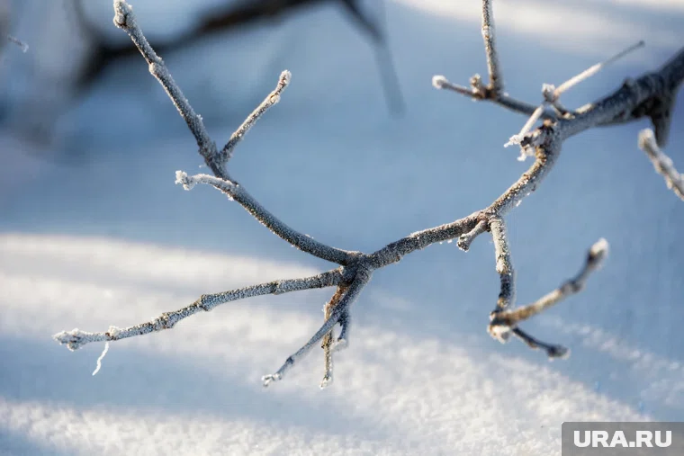 Температура в -43 градуса ожидается в низинах и у водоемов Курганской области